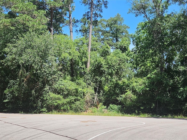 1934 Long Shadow Ln, Spring, TX 77388 - photo 2