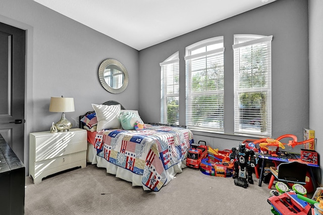 10102 Hooke Dr, Iowa Colony, TX 77583 - view of carpeted bedroom