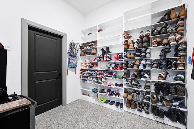 10102 Hooke Dr, Iowa Colony, TX 77583 - view of walk in closet