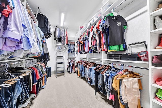 10102 Hooke Dr, Iowa Colony, TX 77583 - walk in closet with carpet