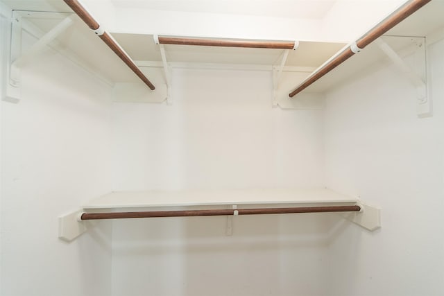 18219 S Austin Shore Dr, Cypress, TX 77433 - view of walk in closet