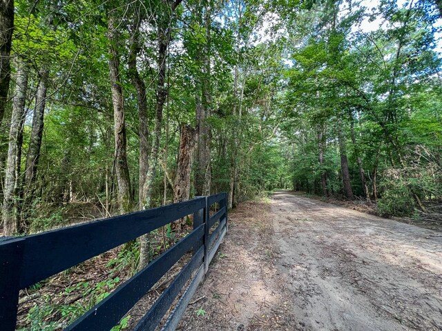 1 Dick Skinner Rd, Corrigan, TX 75939 - photo 3