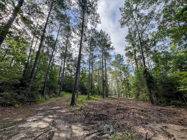 1 Dick Skinner Rd, Corrigan, TX 75939 - photo 4
