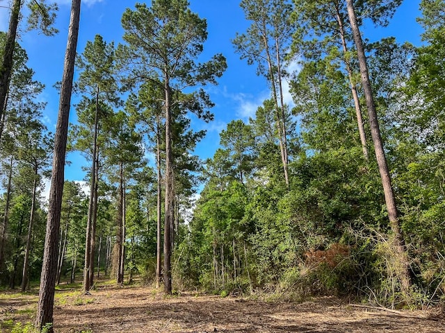 1 Dick Skinner Rd, Corrigan, TX 75939 - photo 5
