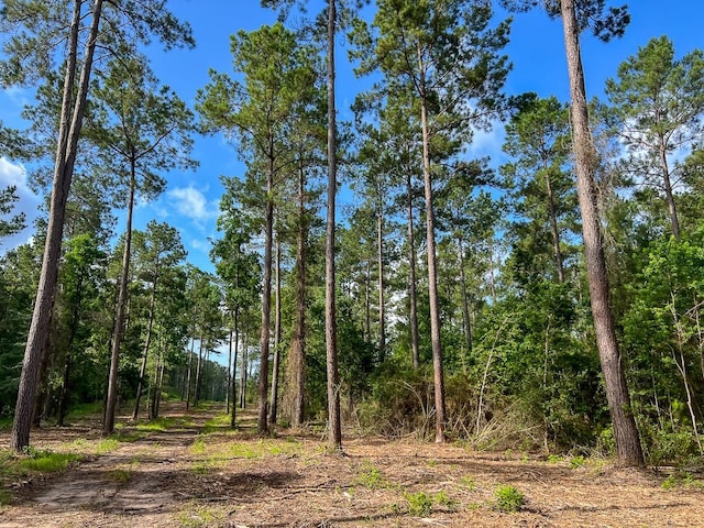 1 Dick Skinner Rd, Corrigan, TX 75939 - photo 6