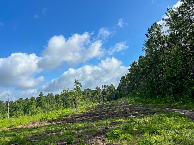 1 Dick Skinner Rd, Corrigan, TX 75939 - photo 8
