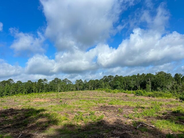 1 Dick Skinner Rd, Corrigan, TX 75939 - photo 9