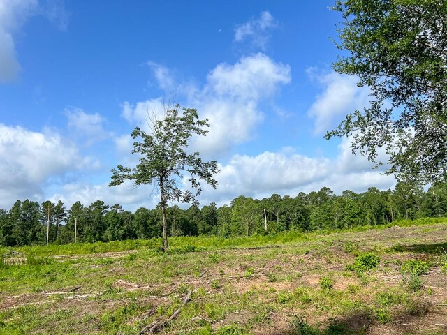 1 Dick Skinner Rd, Corrigan, TX 75939 - photo 10