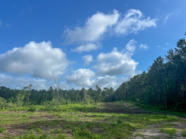 1 Dick Skinner Rd, Corrigan, TX 75939 - photo 12