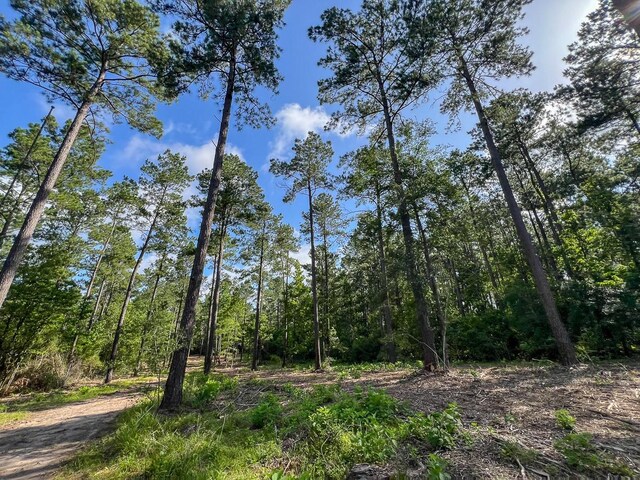 1 Dick Skinner Rd, Corrigan, TX 75939 - photo 13