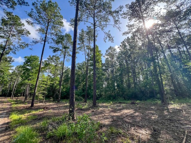 1 Dick Skinner Rd, Corrigan, TX 75939 - photo 14