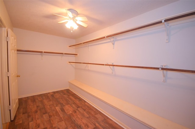 6906 Grant Dr, Magnolia, TX 77354 - spacious closet with dark wood finished floors and ceiling fan
