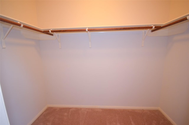 6906 Grant Dr, Magnolia, TX 77354 - spacious closet featuring light carpet