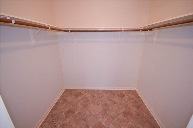 6906 Grant Dr, Magnolia, TX 77354 - view of walk in closet