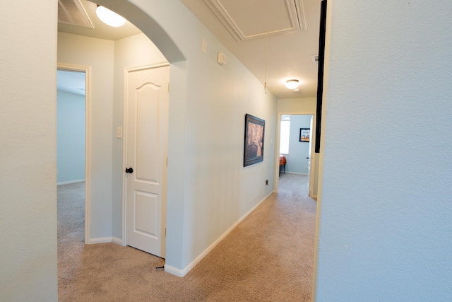 14907 Ashley Creek Ct, Humble, TX 77396 - hallway with light carpet, attic access, and arched walkways