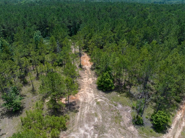 6 Benny Griffin Rd, Tx, TX 77351