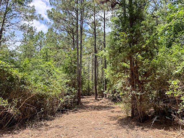 6 Benny Griffin Rd, Tx, TX 77351