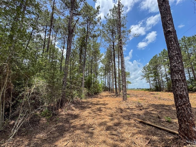6 Benny Griffin Rd, Tx, TX 77351