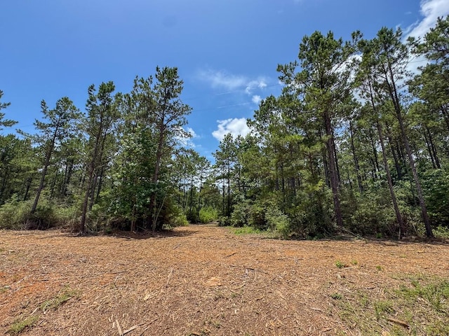 6 Benny Griffin Rd, Tx, TX 77351