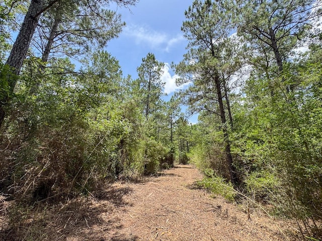 6 Benny Griffin Rd, Tx, TX 77351