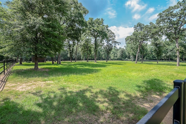 42015 Mill Creek Rd, Magnolia, TX 77354 - view of yard