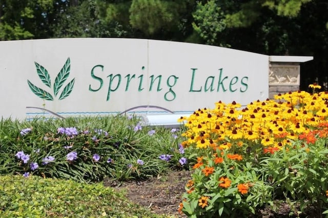 25827 Austin Spgs, Spring, TX 77373 - view of community sign