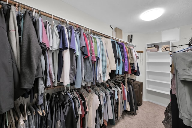 905 Wakefield Dr, Houston, TX 77018 - walk in closet featuring carpet