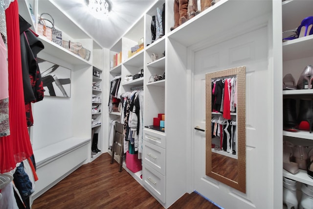 27115 Meadow Sage Ct, Cypress, TX 77433 - spacious closet featuring dark wood finished floors