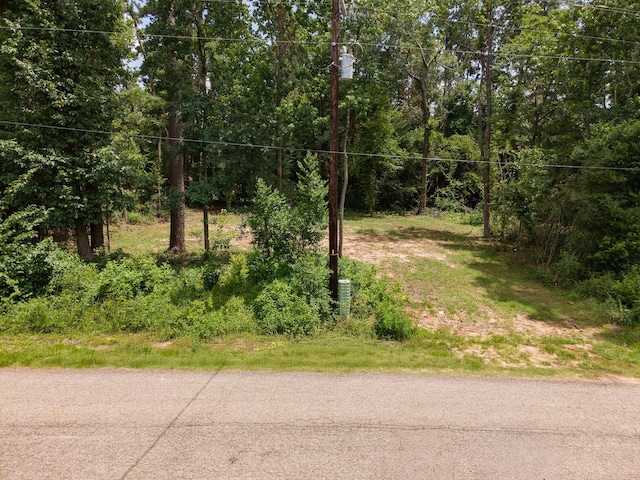 529 Mohawk Bnd, Conroe, TX 77316 - photo 2