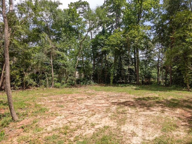 529 Mohawk Bnd, Conroe, TX 77316 - photo 3