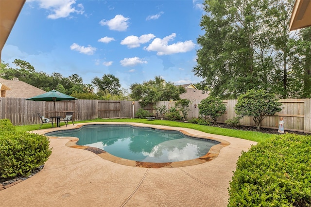 2206 Chelsea Creek Ln, Spring, TX 77386 - view of pool featuring a patio area and a fenced backyard