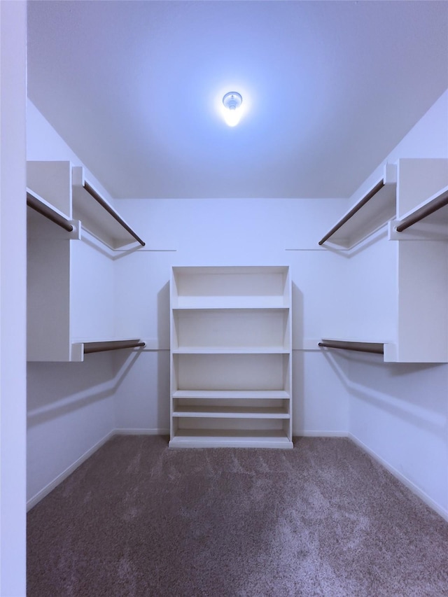 2231 Round Lake Dr, Houston, TX 77077 - spacious closet featuring carpet flooring