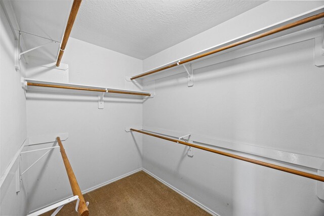 9510 Barr Spring Dr, Humble, TX 77396 - photo 22