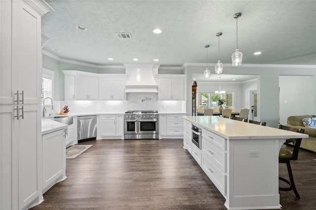2318 Pleasant Crk, Houston, TX 77345 - kitchen with appliances with stainless steel finishes, custom range hood, plenty of natural light, a textured ceiling, and a kitchen breakfast bar