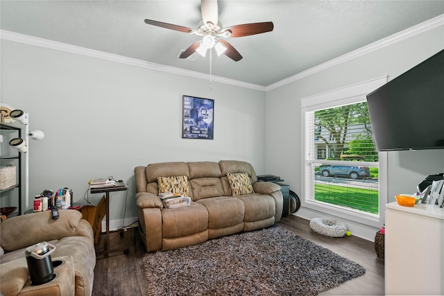 2318 Pleasant Crk, Houston, TX 77345 - living room featuring crown molding, a ceiling fan, and wood finished floors