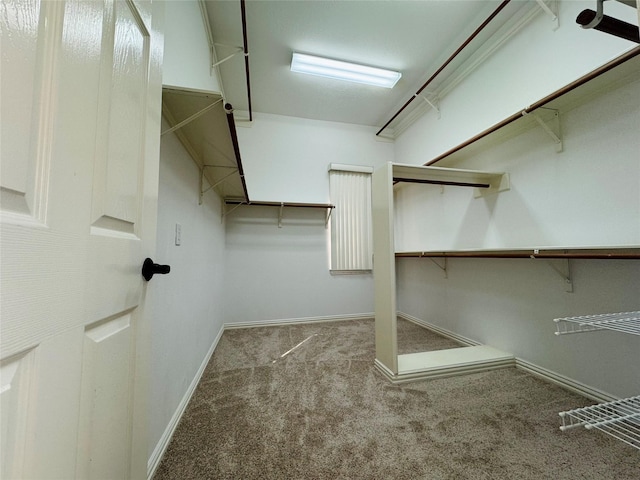 5403 Emerald Pointe Ln, Sugar Land, TX 77479 - spacious closet featuring carpet floors