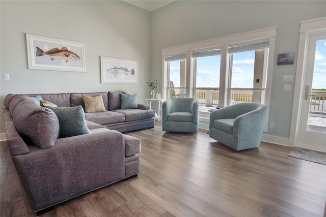 1301 Lagoon Dr, Crystal Beach, TX 77650 - living room featuring wood finished floors and crown molding