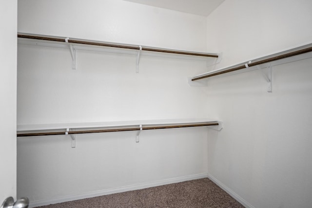 16070 Deer Pines Dr, Conroe, TX 77303 - walk in closet featuring carpet flooring