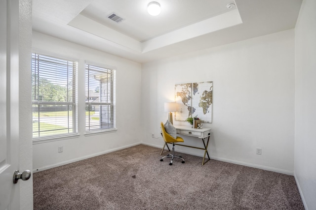 16070 Deer Pines Dr, Conroe, TX 77303 - home office with carpet floors and a raised ceiling