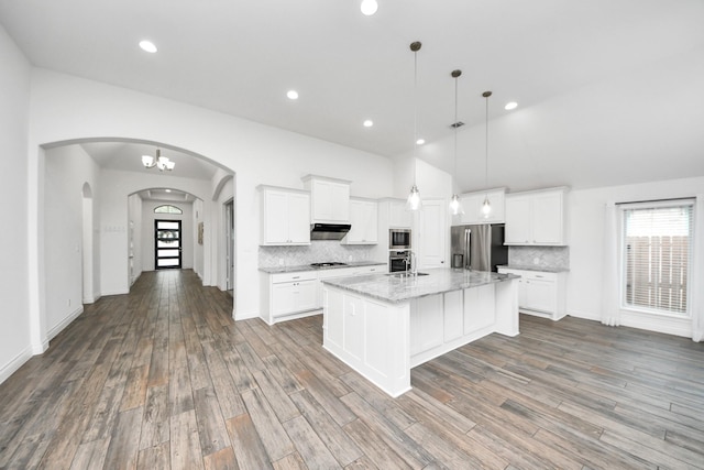 28430 Sycamore Falls Ln, Fulshear, TX 77441 - kitchen featuring appliances with stainless steel finishes, under cabinet range hood, tasteful backsplash, arched walkways, and recessed lighting