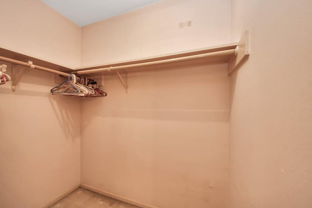 8311 Everleaf Dr, Spring, TX 77379 - view of walk in closet