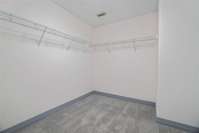 29418 Legends Hill Dr, Spring, TX 77386 - walk in closet with carpet