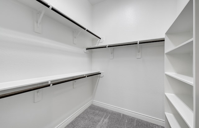 12611 Faded Sky Ct, Cypress, TX 77433 - spacious closet with carpet flooring