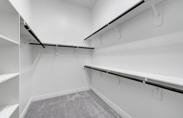 12611 Faded Sky Ct, Cypress, TX 77433 - spacious closet with light carpet