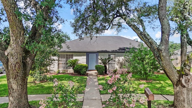 726 Park Knoll Ln, Katy, TX 77450 - view of front facade with roof with shingles, a front yard, and brick siding
