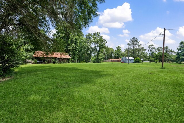 5254 State Highway 146 S, Livingston, TX 77351 - view of green lawn