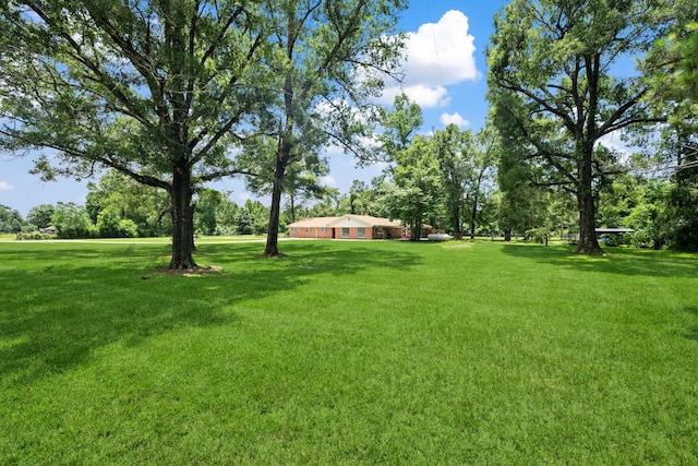 5254 State Highway 146 S, Livingston, TX 77351 - view of grassy yard