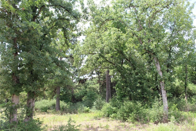 TRACT164 Private Road 1311, Centerville, TX 75833 - photo 22