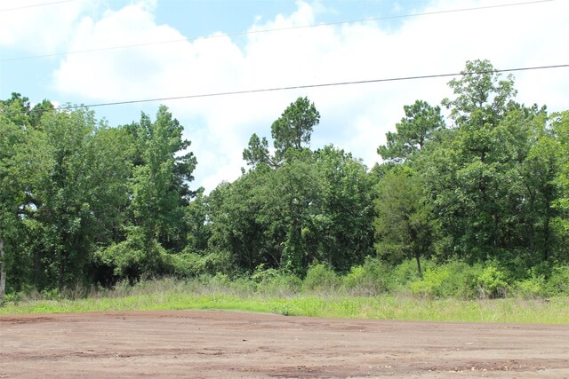 TRACT164 Private Road 1311, Centerville, TX 75833 - photo 23