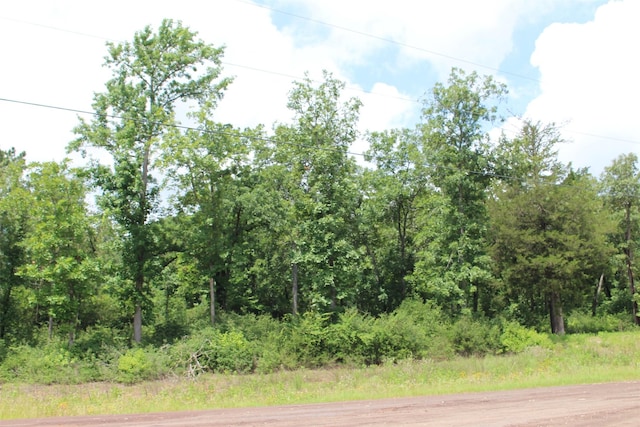 TRACT164 Private Road 1311, Centerville, TX 75833 - photo 24